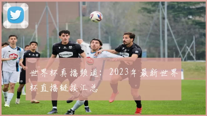 世界杯真播频道:2023年最新世界杯直播链接汇总
