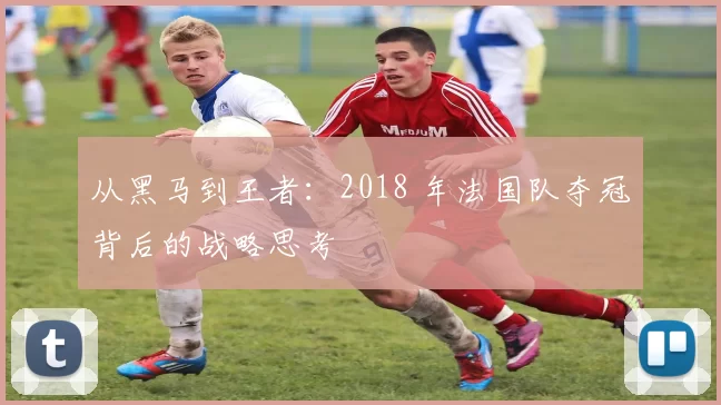 从黑马到王者：2018 年法国队夺冠背后的战略思考