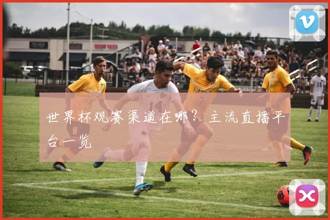 世界杯观赛渠道在哪？主流直播平台一览