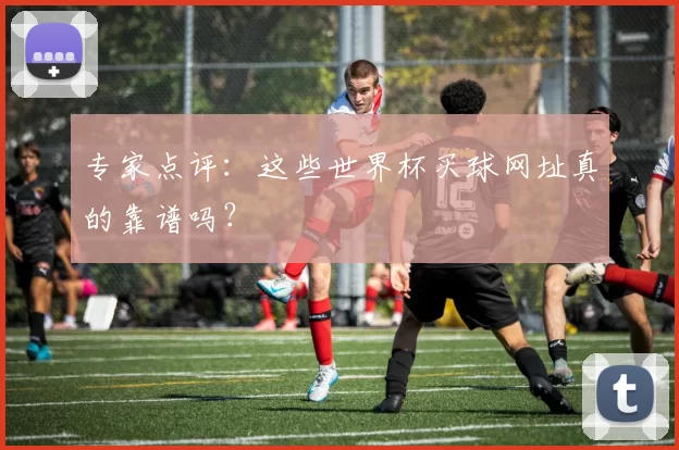 专家点评：这些世界杯买球网址真的靠谱吗？