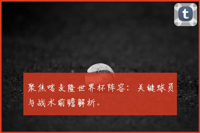 聚焦喀麦隆世界杯阵容：关键球员与战术前瞻解析。