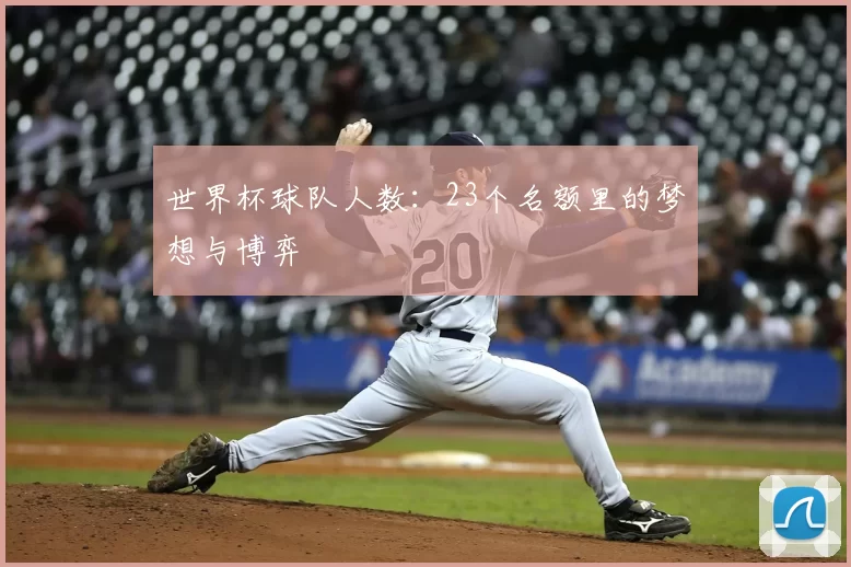 世界杯球队人数：23个名额里的梦想与博弈