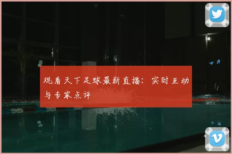 观看天下足球最新直播：实时互动与专家点评