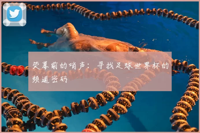 荧幕前的哨声：寻找足球世界杯的频道密码