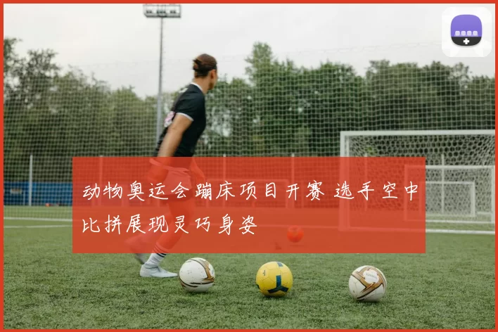 动物奥运会蹦床项目开赛 选手空中比拼展现灵巧身姿