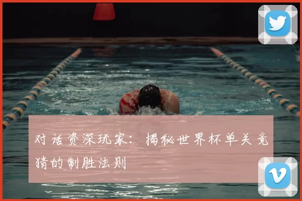 对话资深玩家：揭秘世界杯单关竞猜的制胜法则