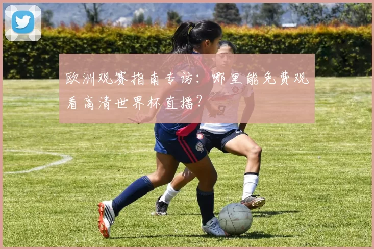 欧洲观赛指南专访：哪里能免费观看高清世界杯直播？
