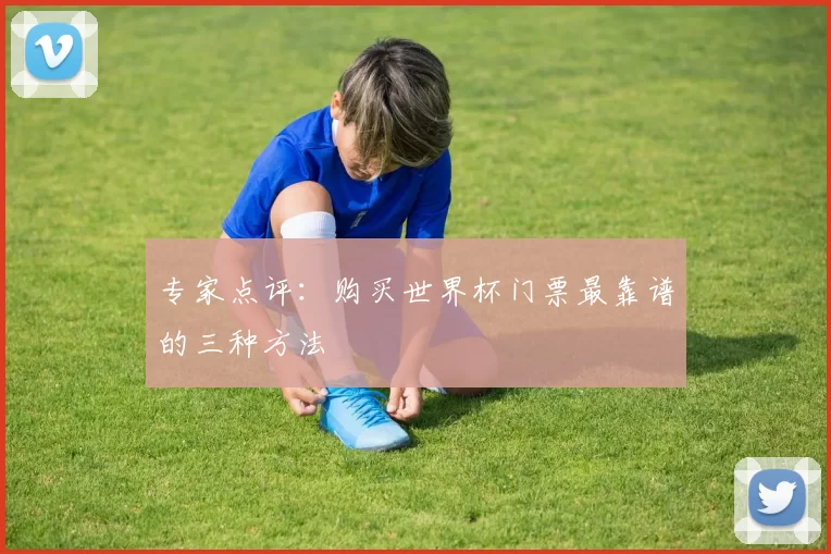 专家点评：购买世界杯门票最靠谱的三种方法