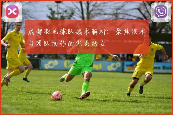 成都羽毛球队战术解析：聚焦技术与团队协作的完美结合