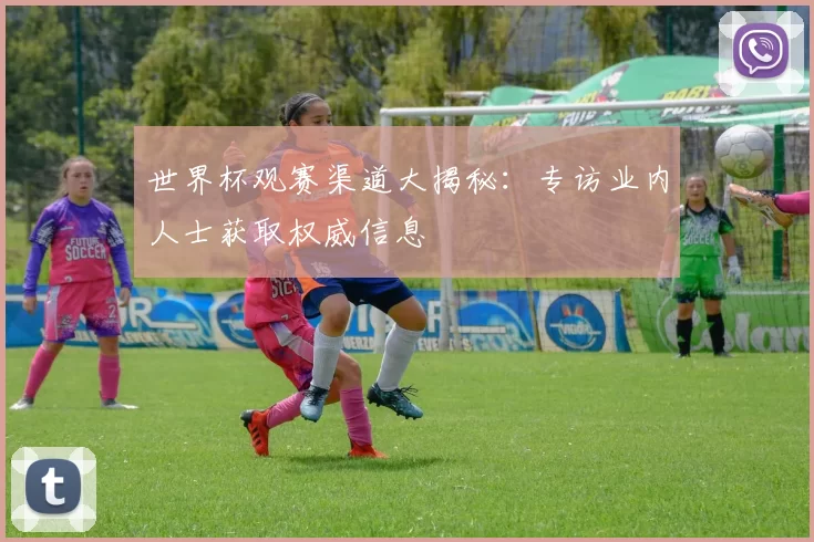 世界杯观赛渠道大揭秘：专访业内人士获取权威信息