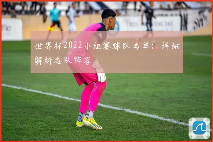 世界杯2022小组赛球队名单:详细解析各队阵容