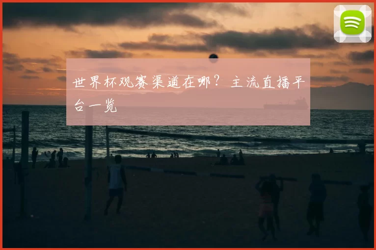世界杯观赛渠道在哪？主流直播平台一览
