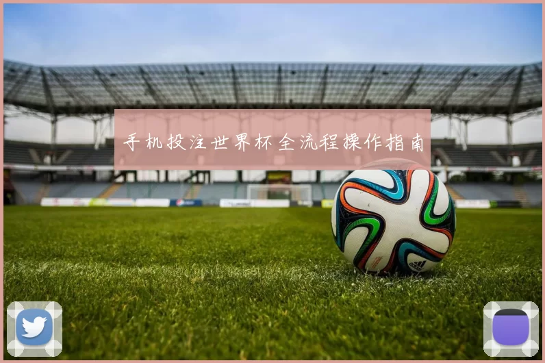 手机投注世界杯全流程操作指南